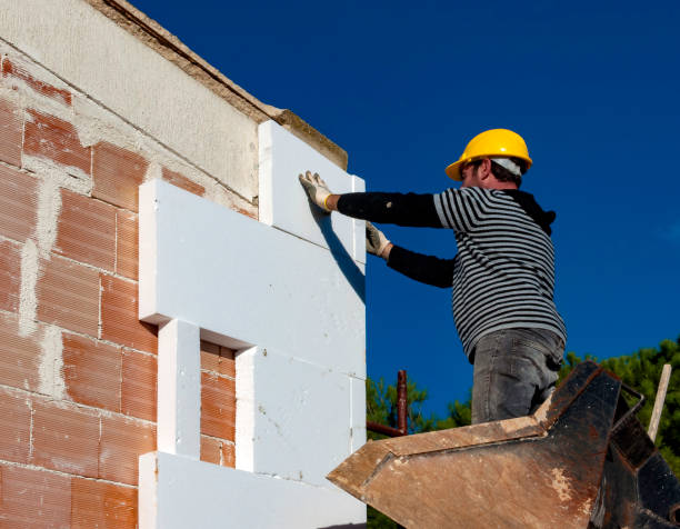 Best Blown-in Insulation in Doolittle, TX