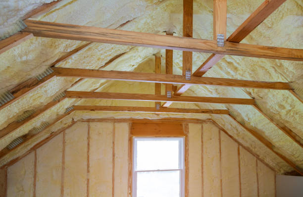 Best Eco-Friendly Insulation in Doolittle, TX