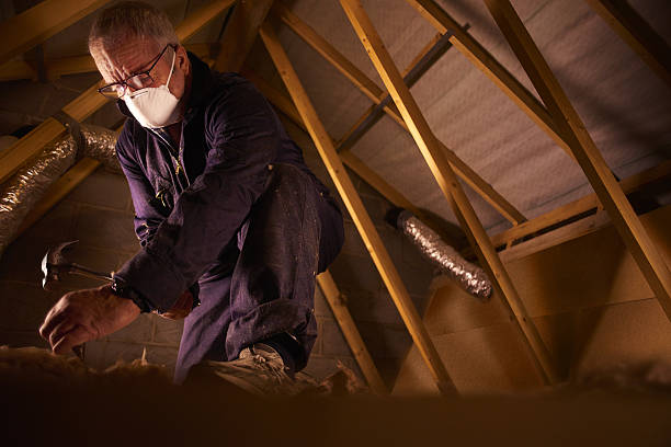 Best Geographic-Specific Insulation Services in Doolittle, TX